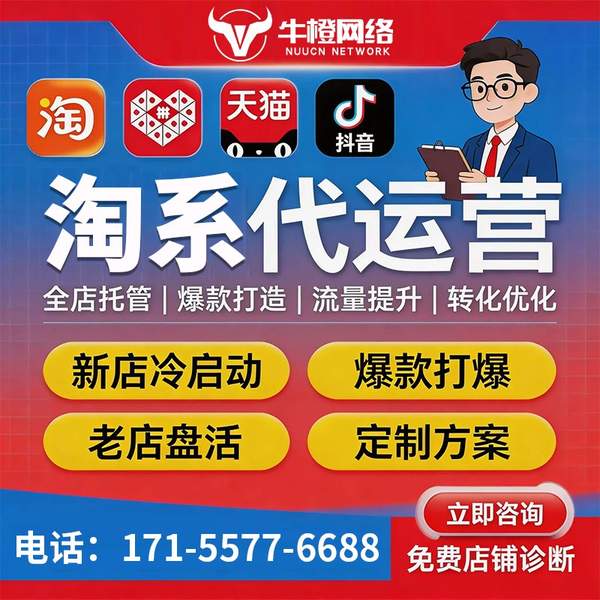 桂平电商代运营