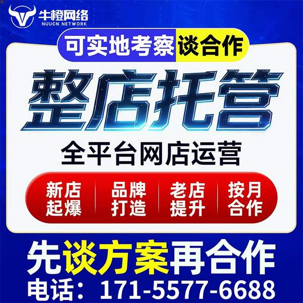 桂平电商代运营