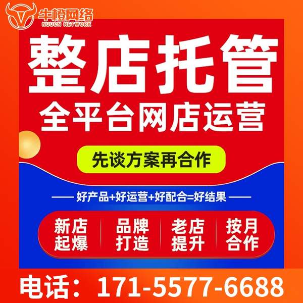 桂平电商代运营