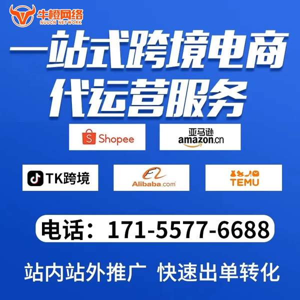 桂平电商代运营