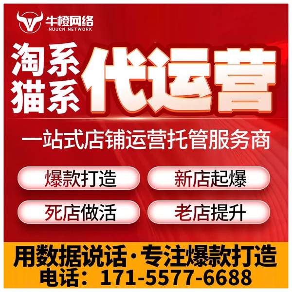 桂平电商代运营